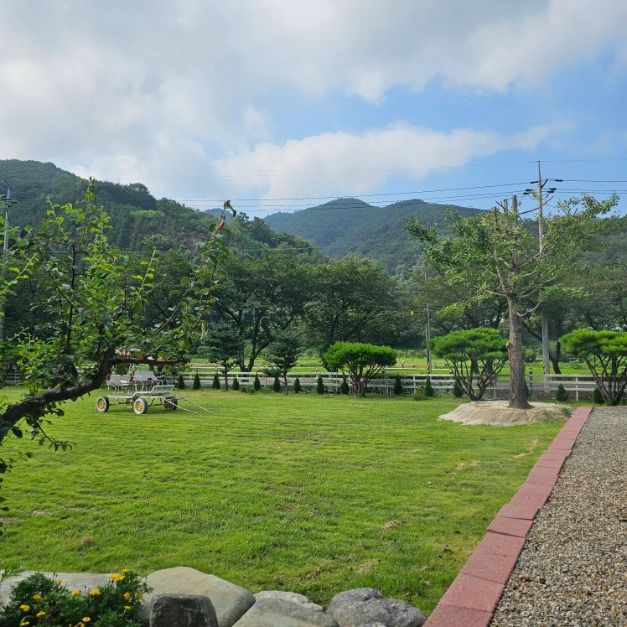 야베스 팜 카페