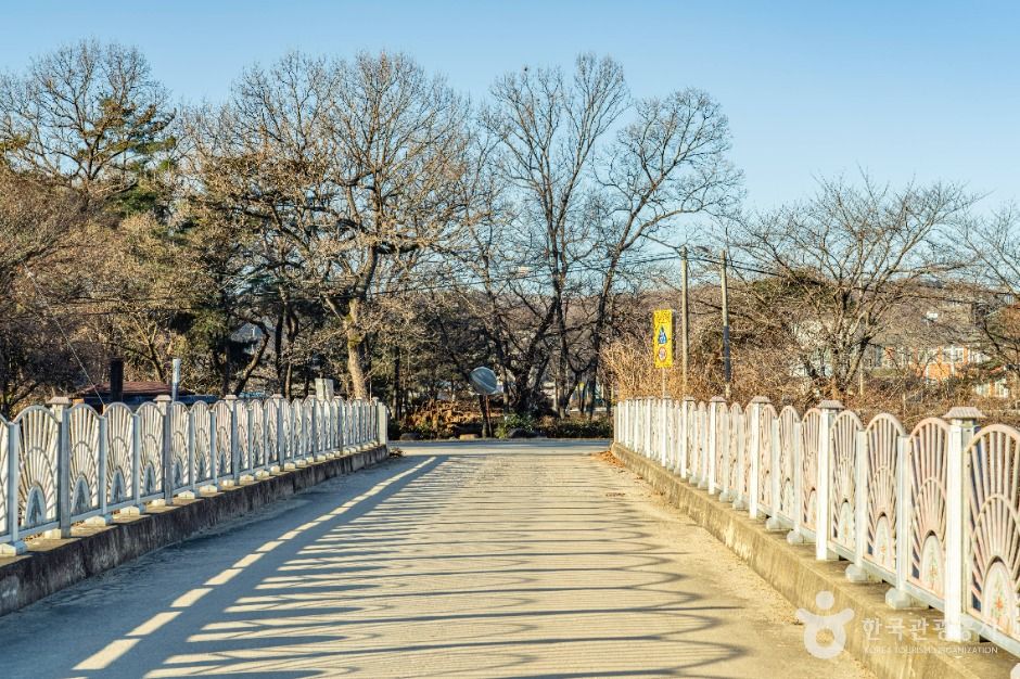 [俗离山环线] 报恩路