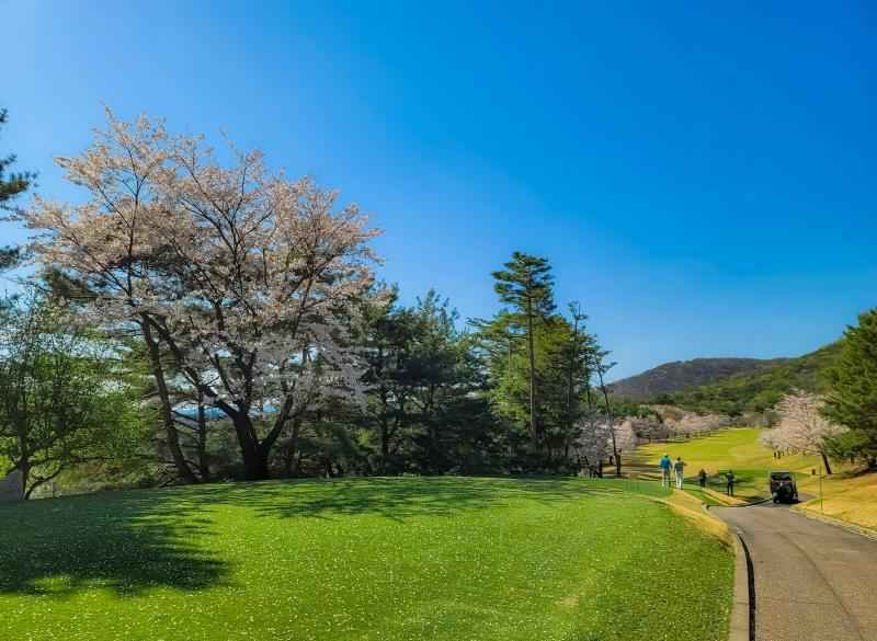 여주_블루헤런 골프클럽 (4).jpg