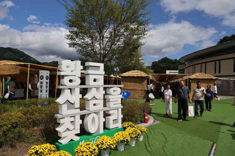 함양산삼축제