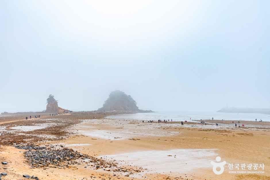 コッチ海水浴場