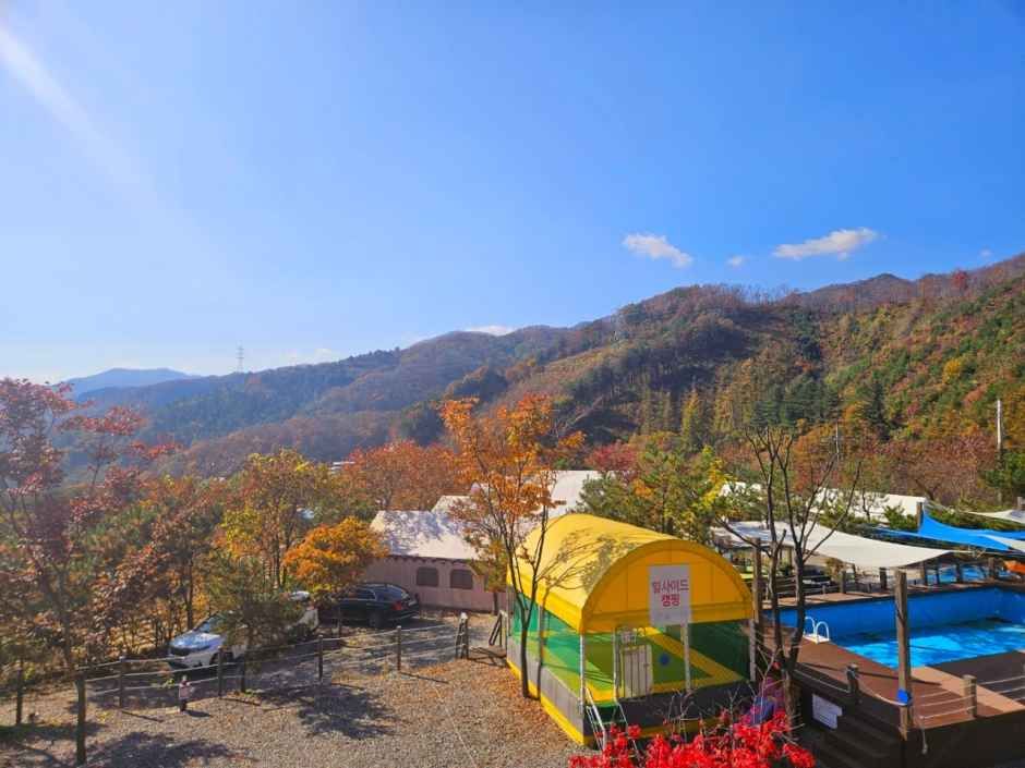힐사이드인가평