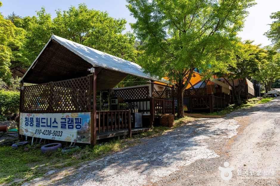 청풍월드니스글램핑