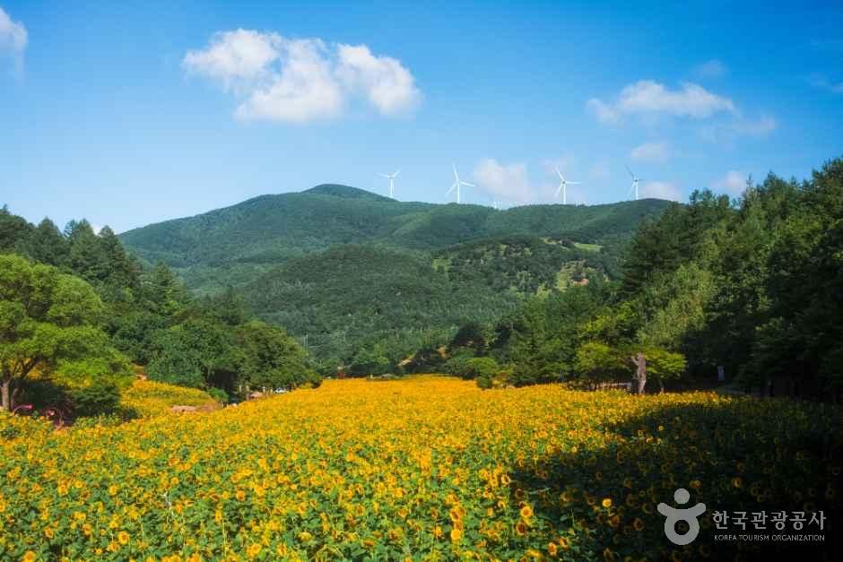 グワウ村