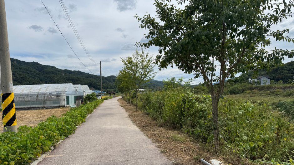 [강원평화누리자전거길 3코스] 철원 화강길