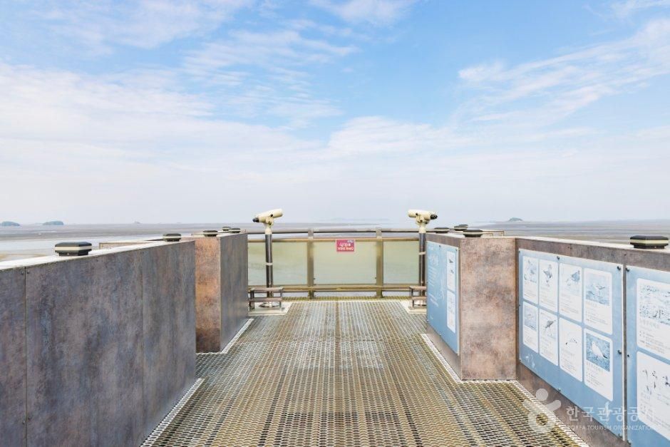 충남_서천군_장항 스카이워크 (기벌포 해전 전망대) (5).jpg