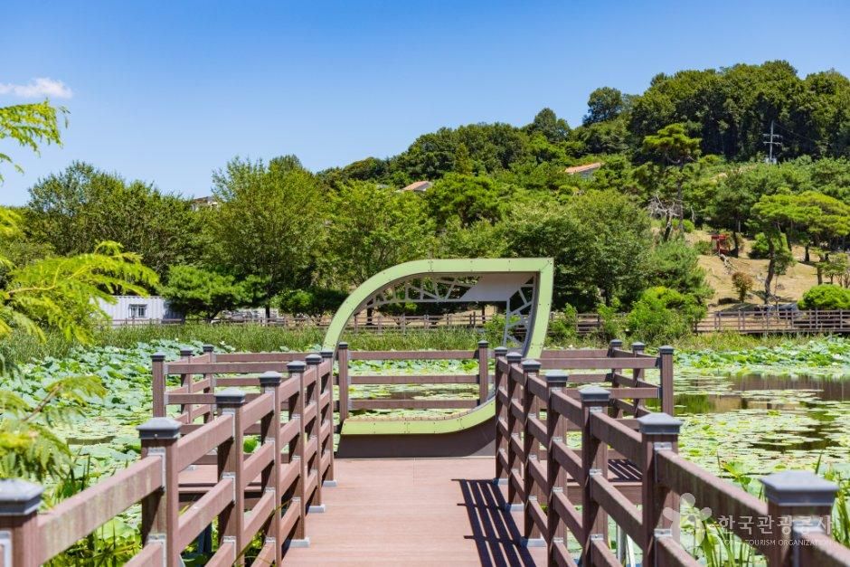 청주 강내연꽃마을