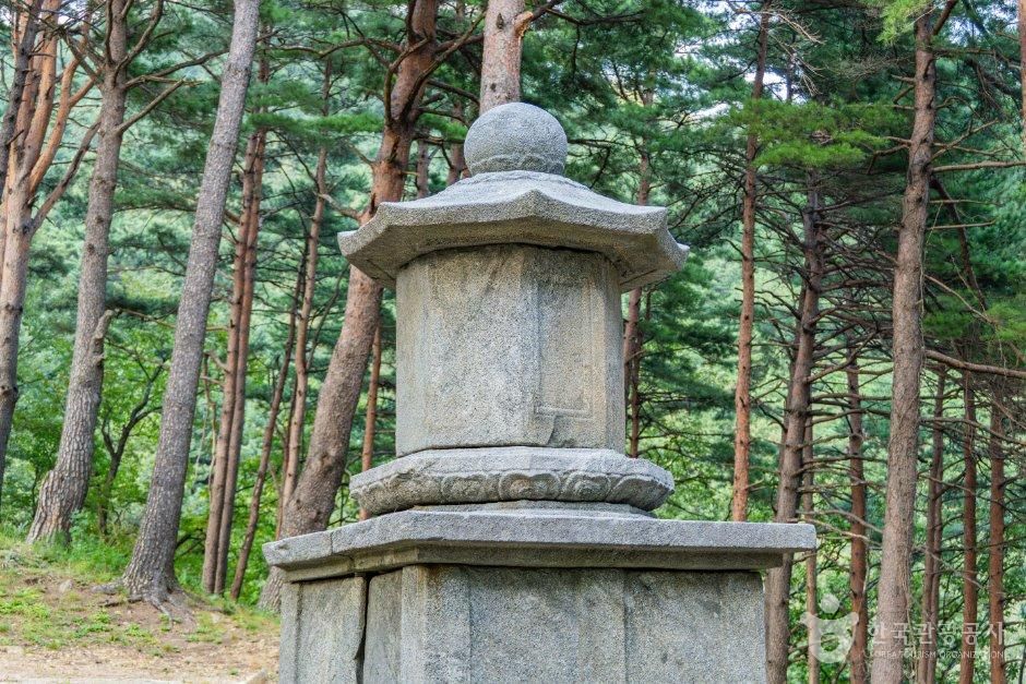 양양 진전사지 도의선사탑