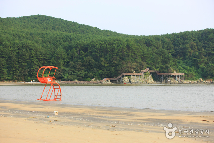 다대포해수욕장 다대포해수욕장