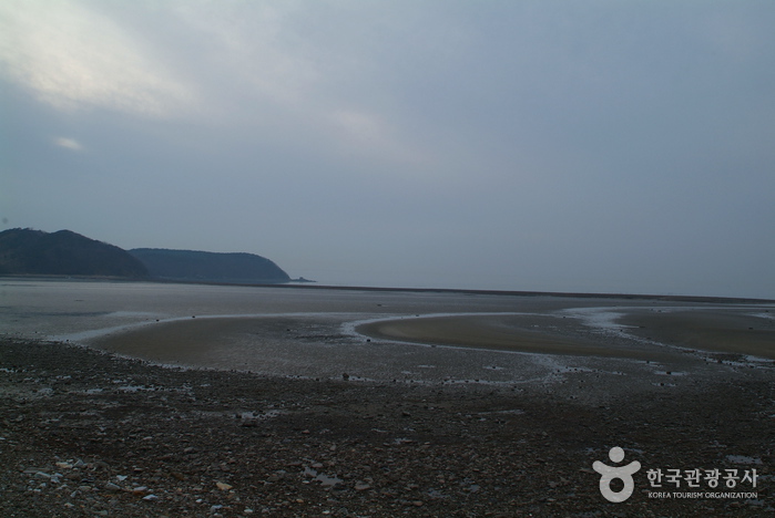 장경리해수욕장 장경리해수욕장