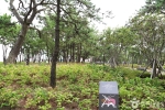 송림공원 (9)