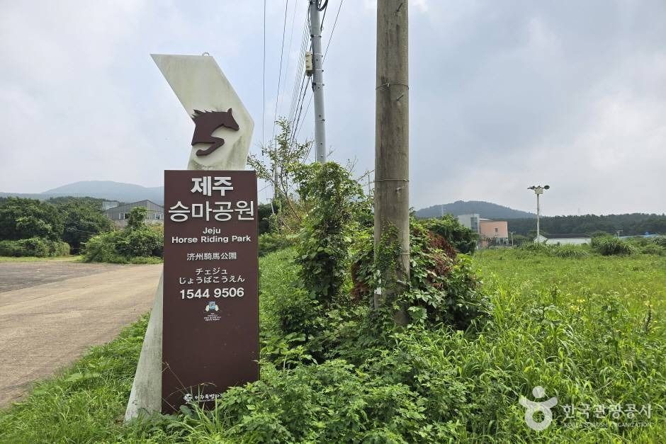 Jeju Equestrian Park