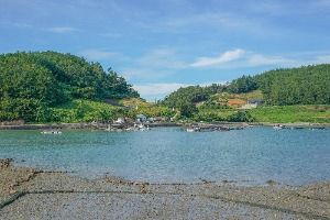 원주도 사진 2