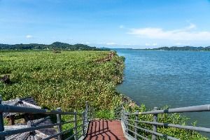 금강2경 도보여행길