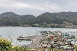 취도 사진 7