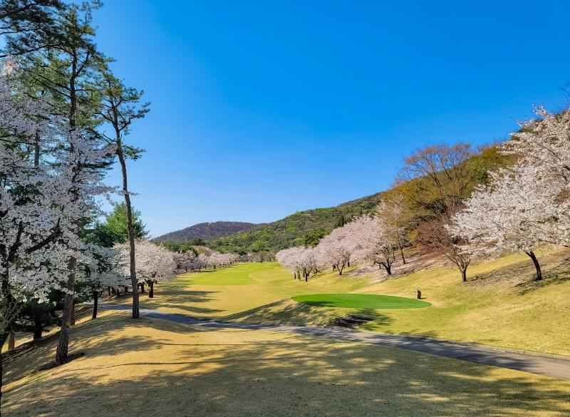 여주_블루헤런 골프클럽 (5).jpg