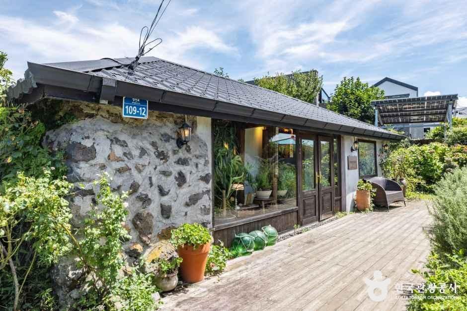 뚜띠콜로리 뮤제오