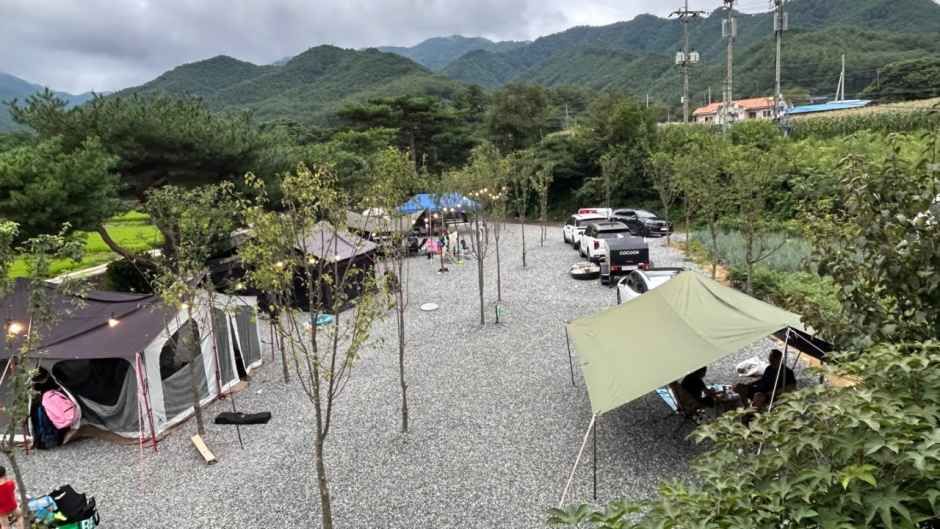 수하리캠핑파크