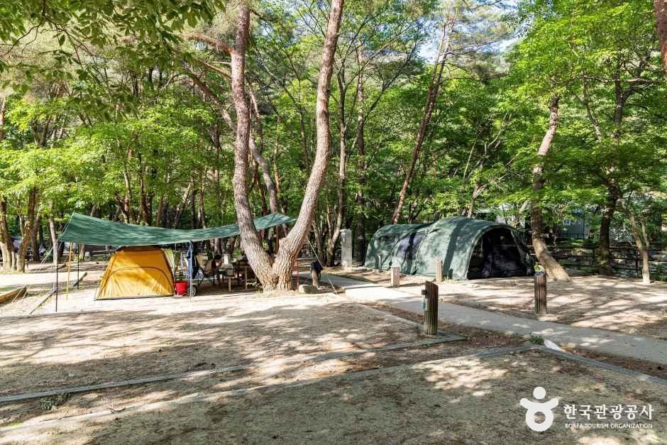 월악산국립공원 닷돈재야영장