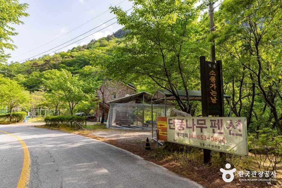 덕동소풍가는날 펜션캠핑장