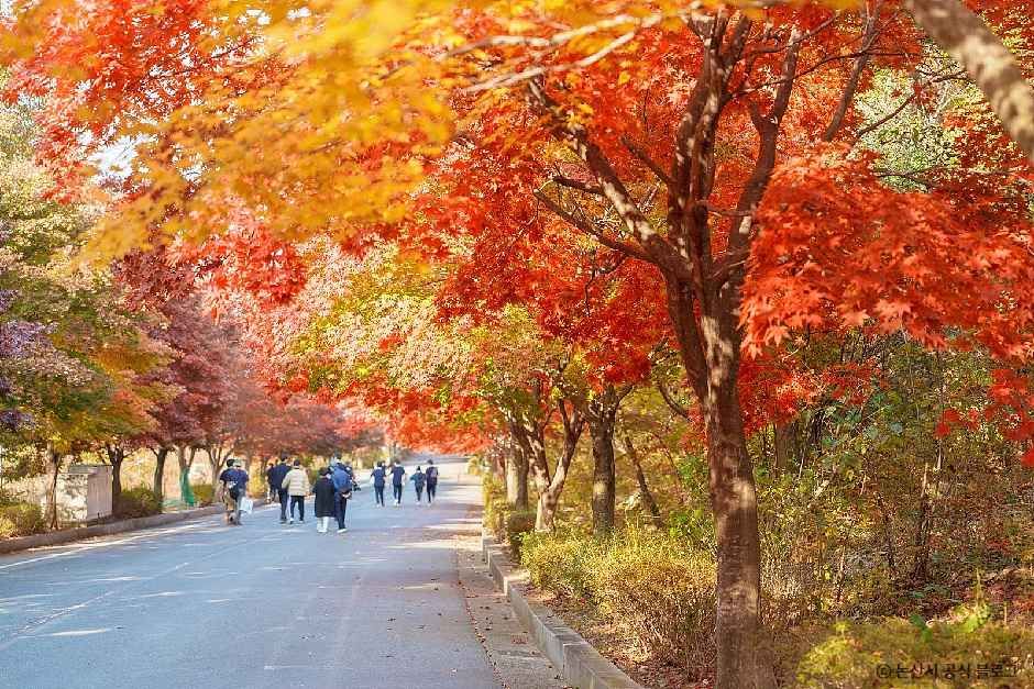Daedunsan Provincial Park (Nonsan)