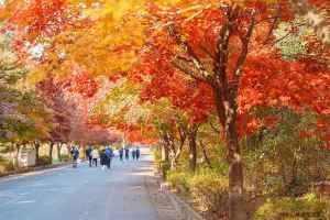대둔산도립공원(논산)