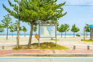 [해파랑길] 47코스