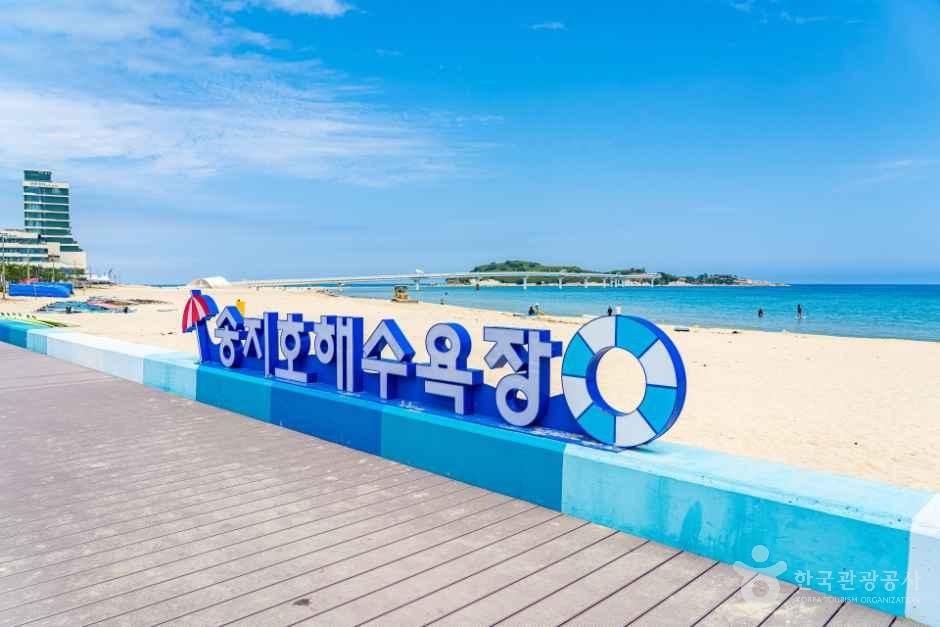 [강원평화누리자전거길 17코스] 고성 송지호 철새길