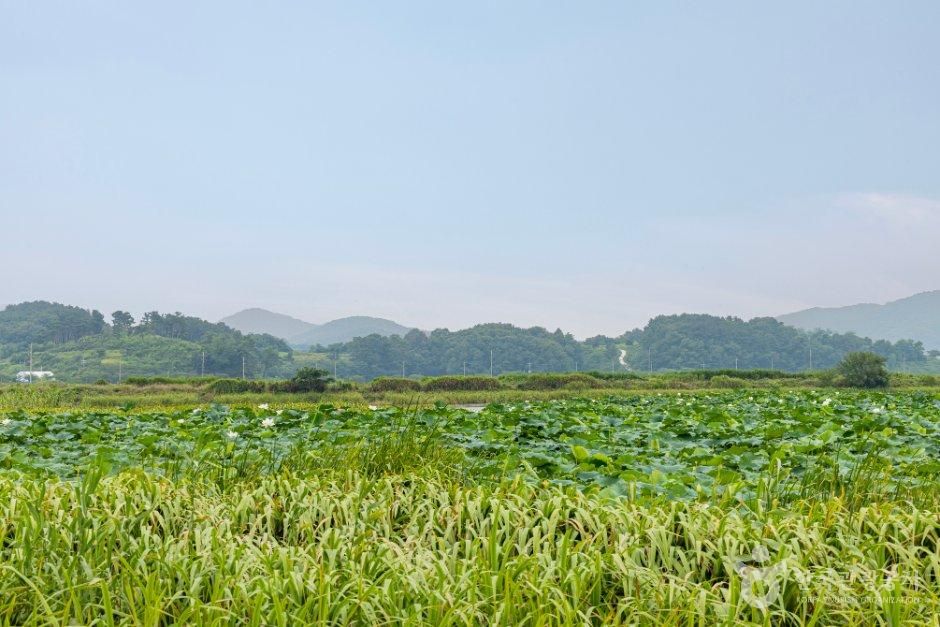 진죽저수지