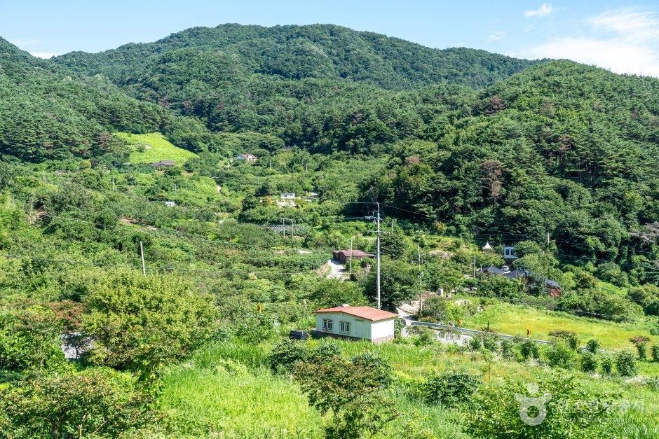먹점마을