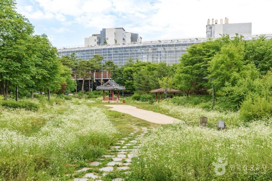 서울_은평구_금암문화공원 (1).jpg