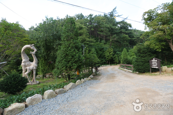 横城自然休養林