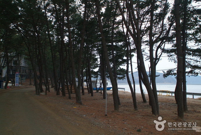 장경리해수욕장 장경리해수욕장