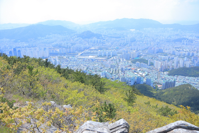 장산 (부산 국가지질공원)