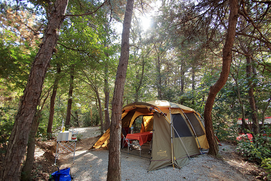 Hosu Sanjang Campground