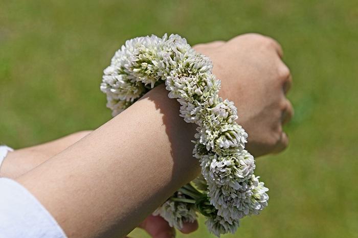 A pretty bracelet made with clovers