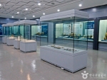 충남대학교박물관 (4)