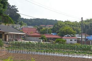 황새마을(서천) 사진 7