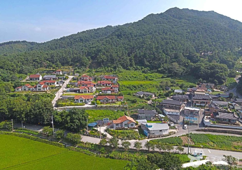 群花村