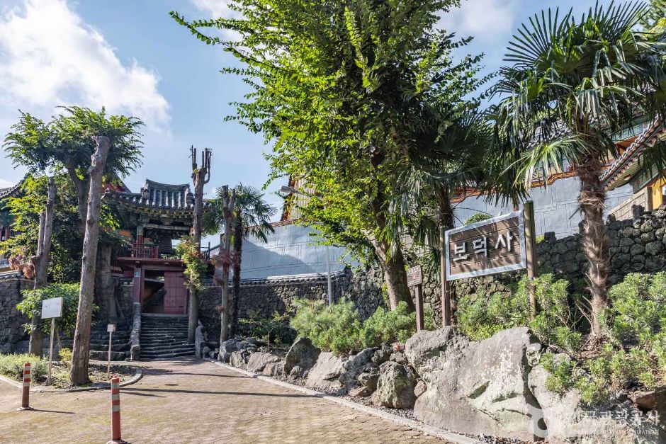 普德寺（济州）