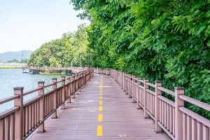 백운호수 생태탐방로