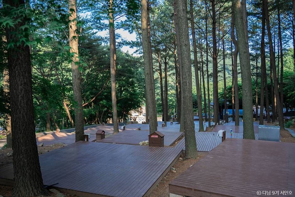 帝岩山自然休養林