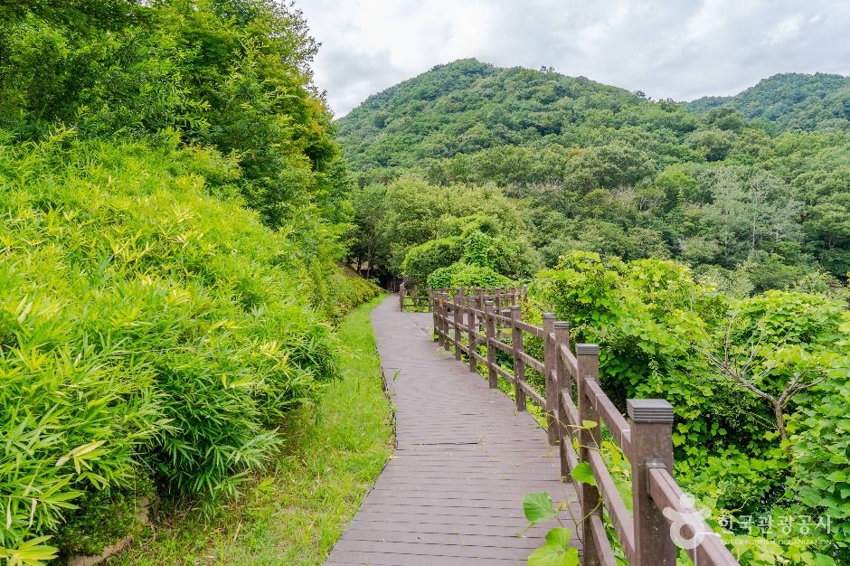 玉城自然休養林