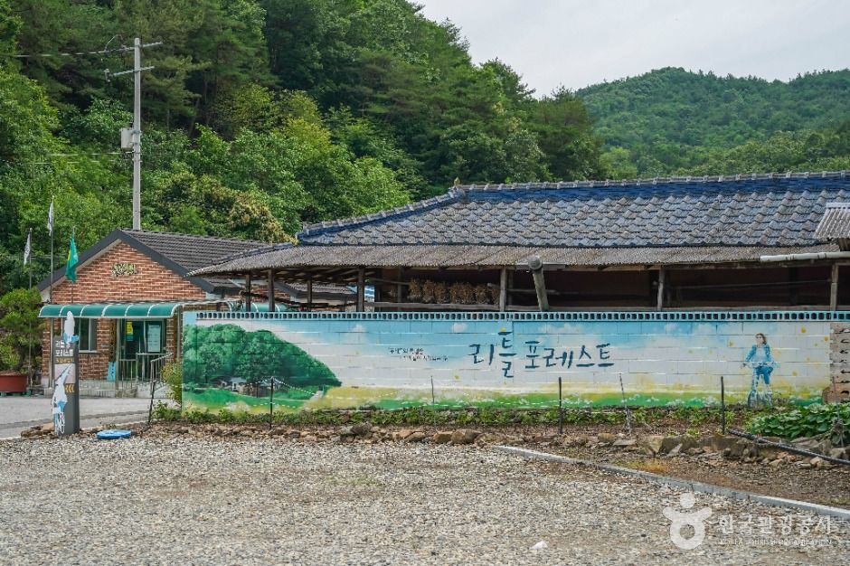 惠媛之家(电影《小森林》拍摄地)