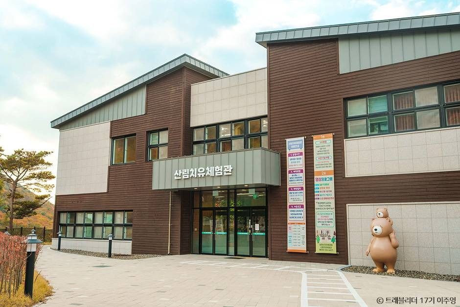 경북 영천 아이랑 가볼만한곳 대구 근교 보현산자연휴양림 천문과학관 예약_보현산자연휴양림_1-5