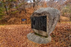 하늘재
