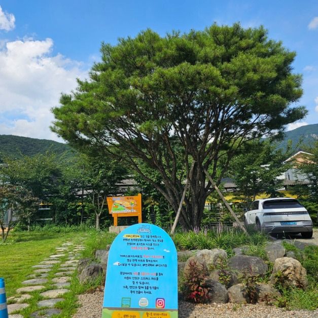 야베스 팜 카페