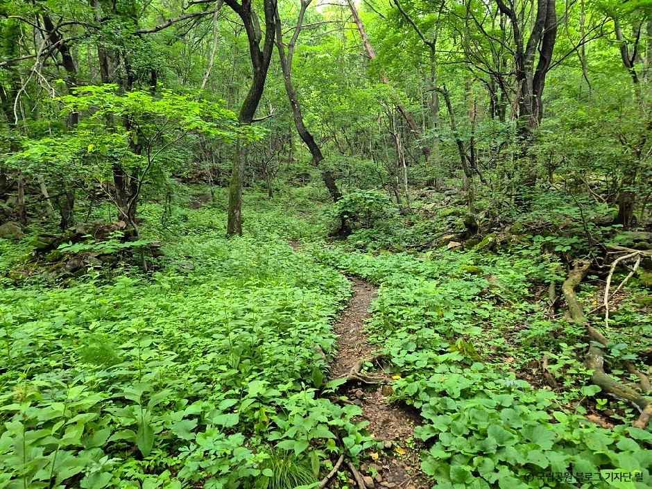 단양_금수산 (2).jpg