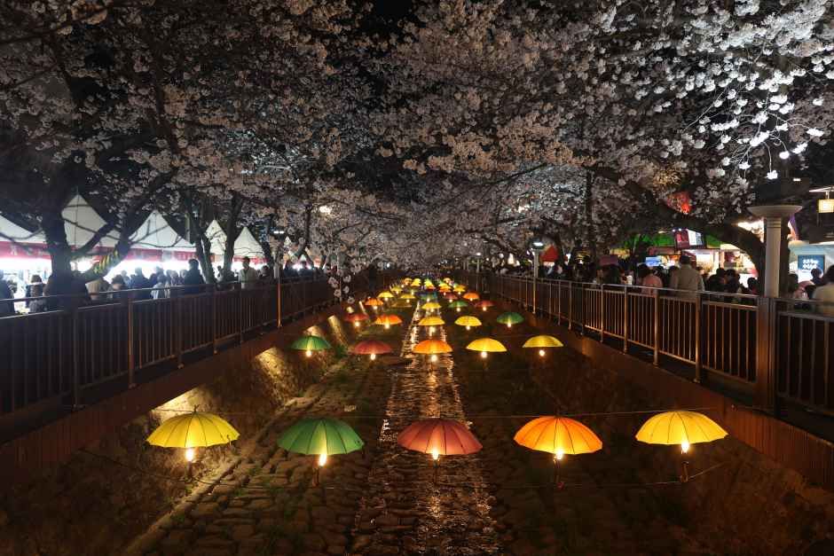 2026 진해군항제 (4).JPG