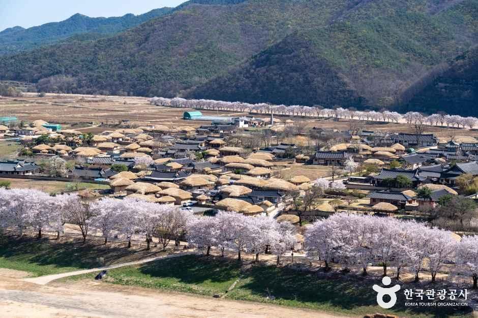 Andong Hahoe Village [UNESCO World Heritage] 5